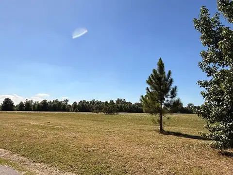 Pinares CC 100