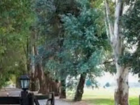 Terreno en Venta de 1000,0 m2