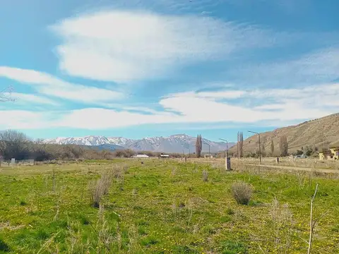 Esquel 100