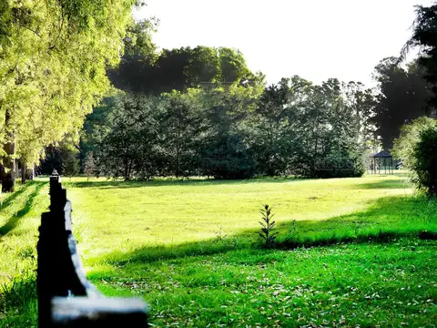 Terreno Campo  en Venta en Haras San Pablo, General Rodríguez, G.B.A. Zona Oeste