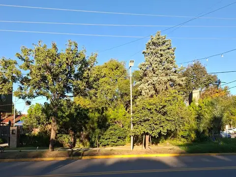 Terreno en Alquiler 16  mts Fondo