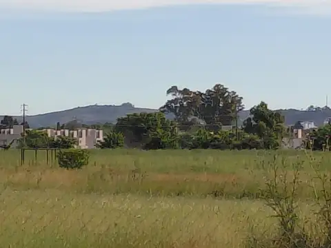 Consultar dirección