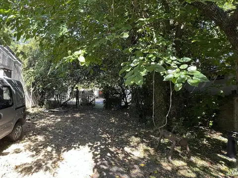 Dante Alighieri 2500