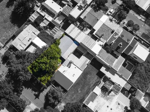 Dante Alighieri 2500