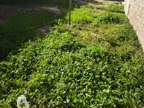 Galpon en Venta en Casiano Casas, USD 180.000