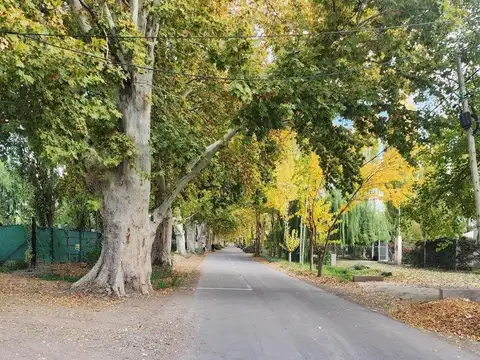 Terreno en Venta en Lujan De Cuyo, USD 58.000