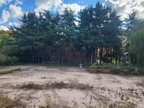 Terreno en Venta en Lujan De Cuyo, USD 58.000