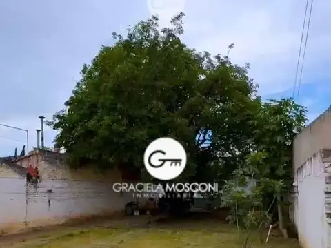 Tres Cerritos Los Nogales 84