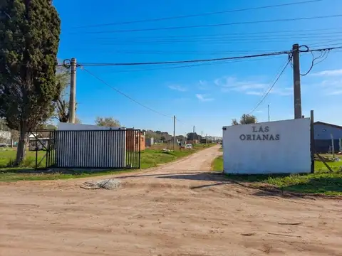 Calle 515 7451