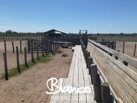Casa en Alquiler A Estrenar