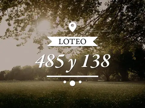 485 y 138 - Lote 29