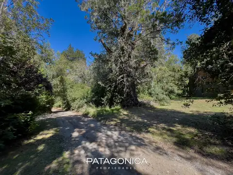 Terreno en Venta en Lomas De Correntoso, USD 140.000