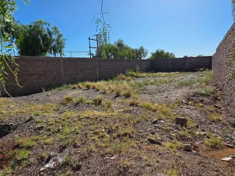 Cabildo de Mendoza 100