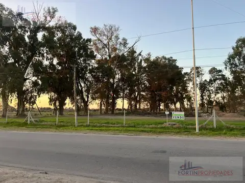 Montevideo entre 71 y 71