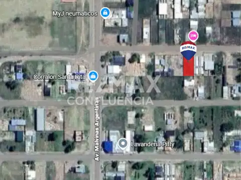 Francisco Espinoza 100