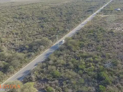 Invertí en 2500 mts 2 en Carpintería 