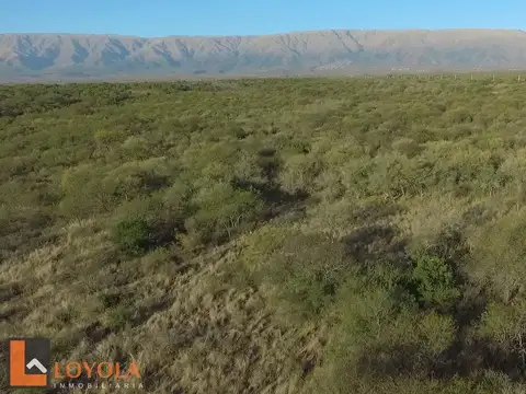 Invertí en 2500 mts 2 en Carpintería 
