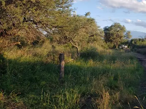 Invertí en 2500 mts 2 en Carpintería 