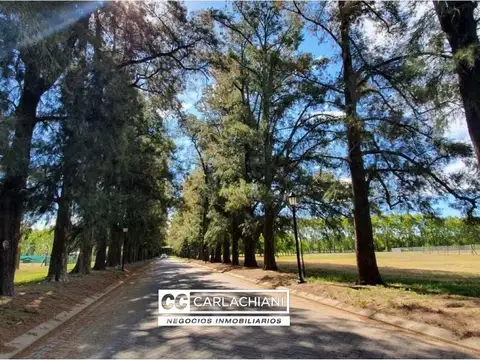 Azahares del Paraná Barrio Sonidos Lote 39