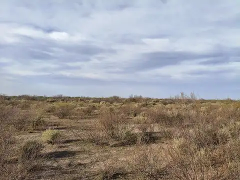 CAMPO AGRÍCOLA GANADERO EN VENTA MENDOZA