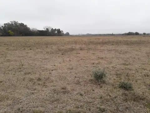 Terreno en Venta de 256,0 m2