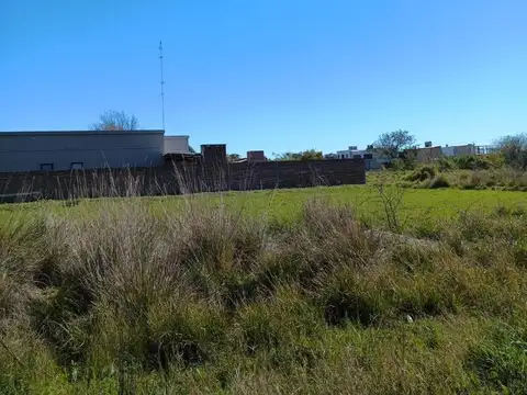 Vicente Lopez Y Planes 1000