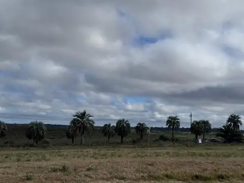 Av. Las Palmeras, ruta IB Km 87. | Maldonado, Urug 100