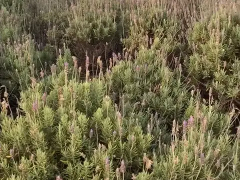 Terreno en Venta en Piriapolis, USD 68.000