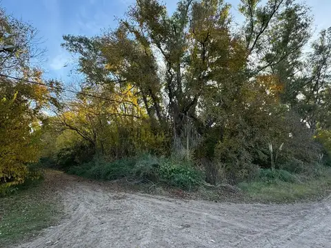 El Remanso 100