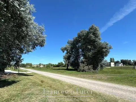 Ruta 6 Km 155 Lote / N° 0