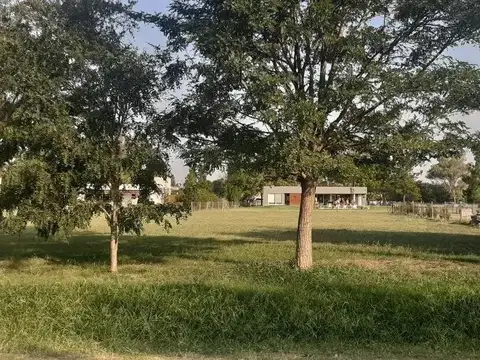 Terreno en Venta 50  mts Fondo