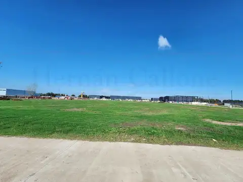 TERRENO DE 5000 M² EN EL PARQUE INDUSTRIAL R25