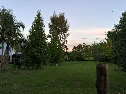 Terreno en Venta 50  mts Fondo