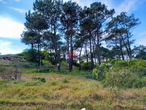 Terreno en venta - Rincon del Indio