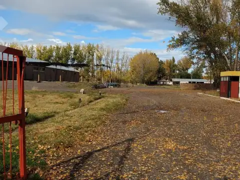 En Venta, Predio de 3.31 Ha, Frente a Ruta 22, General Roca