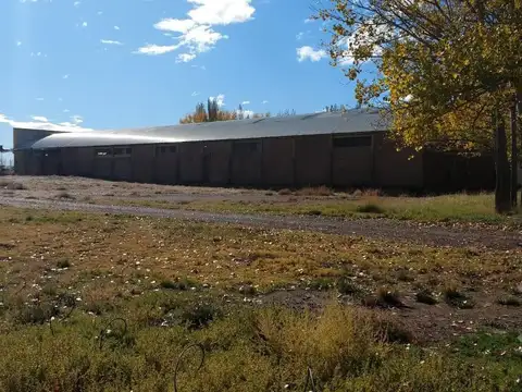 En Venta, Predio de 3.31 Ha, Frente a Ruta 22, General Roca