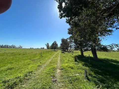 Campo en Venta Mixto