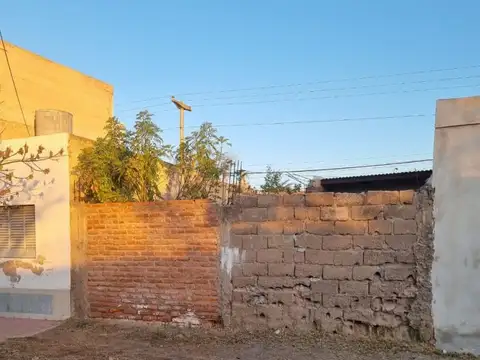 JULIO A ROCA 100