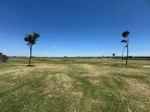 Nativas PUERTOS DEL LAGO 200