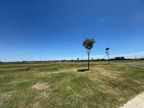 Nativas PUERTOS DEL LAGO 200