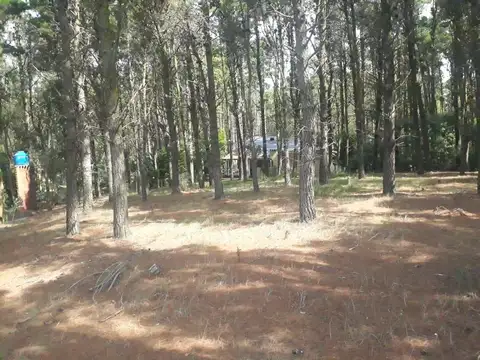 Terreno - Venta - Argentina, Mar de las Pampas