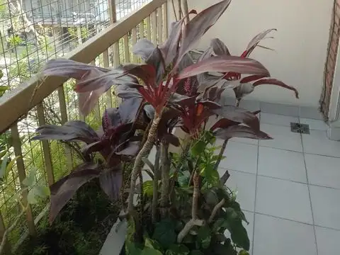 4 Ambientes con Cochera, Balcón y Dependencia en Caballito