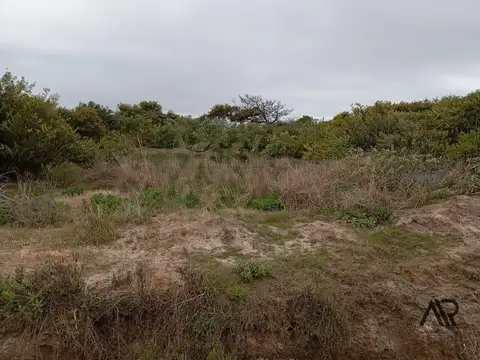 Mburucuya  y costanera 100