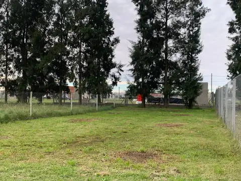 Terrenos y Lotes en Venta en Abasto [Cod: ]