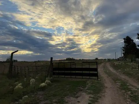 Campo en Venta de 1  ha