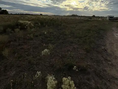 Campo en Venta de 1  ha