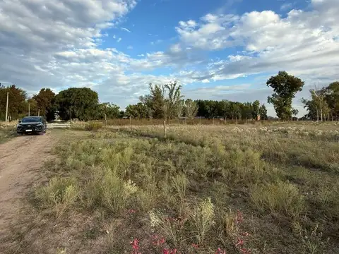 El Zorzal