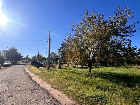 Los Pinos