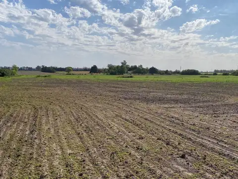 40 Hectareas, gobernandor castro, provincia de buenos aires