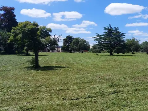 Campo en Gobernador Castro san pedro